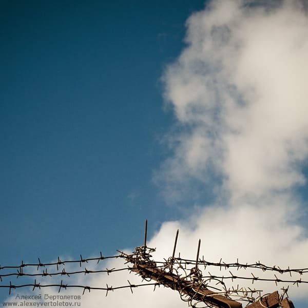 Авторские фото