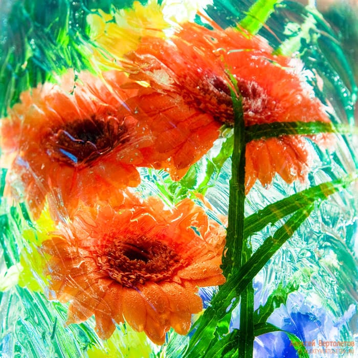 Авторские фото