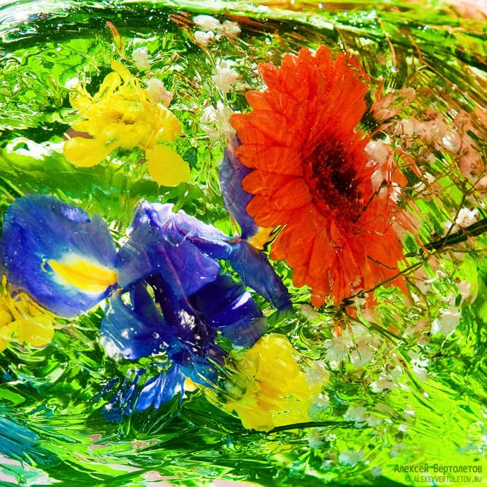 Авторские фото