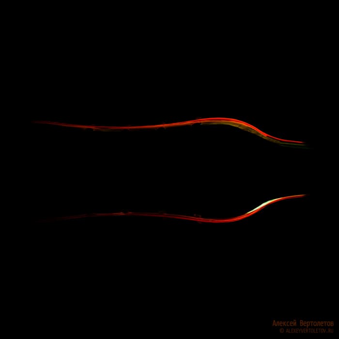 Авторские фото