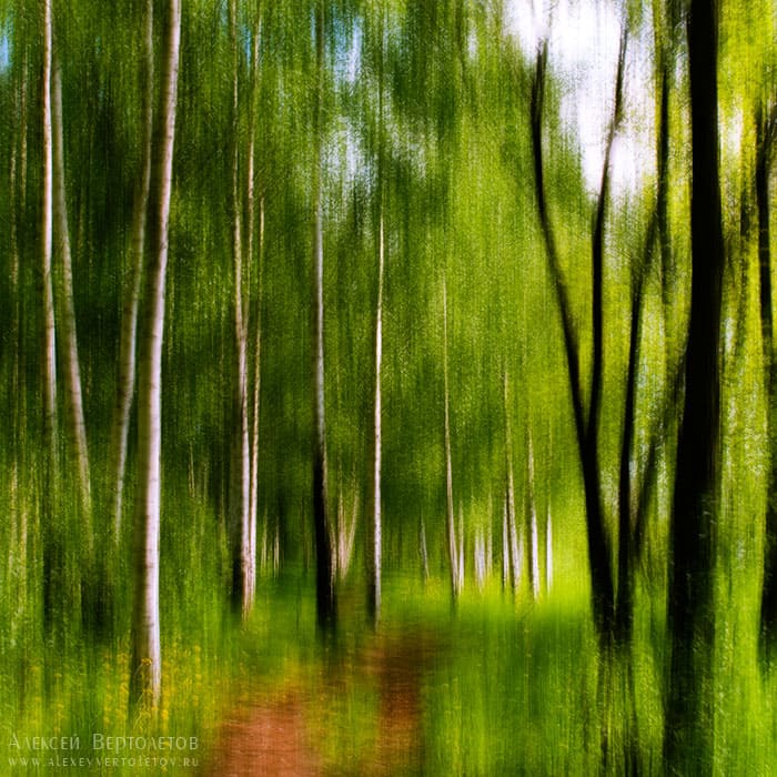 Авторские фото