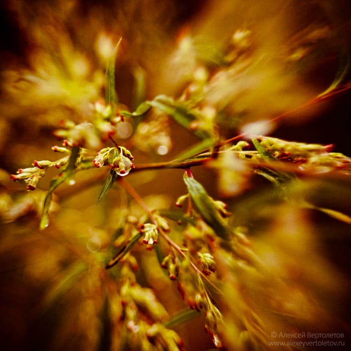 Авторские фото