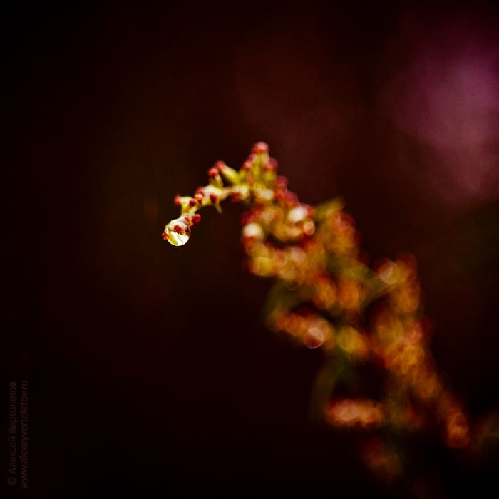 Авторские фото