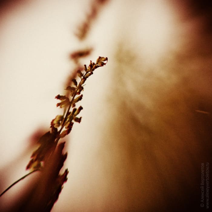 Авторские фото