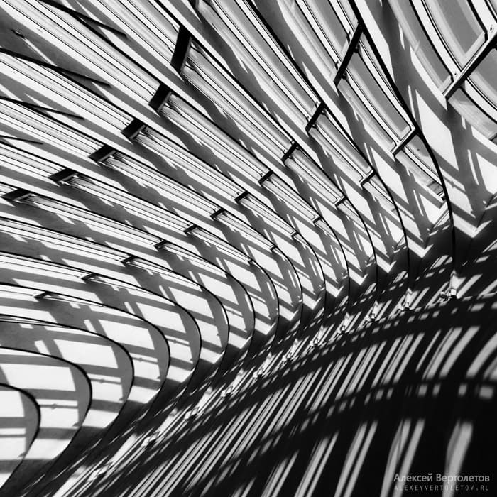 Авторские фото