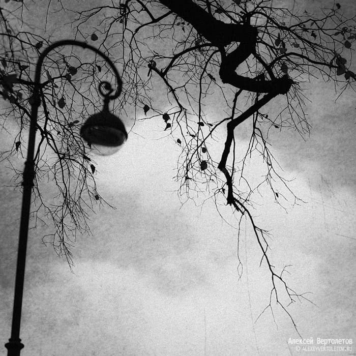 Авторские фото