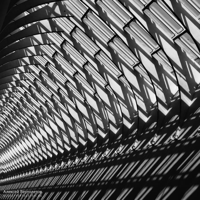 Авторские фото