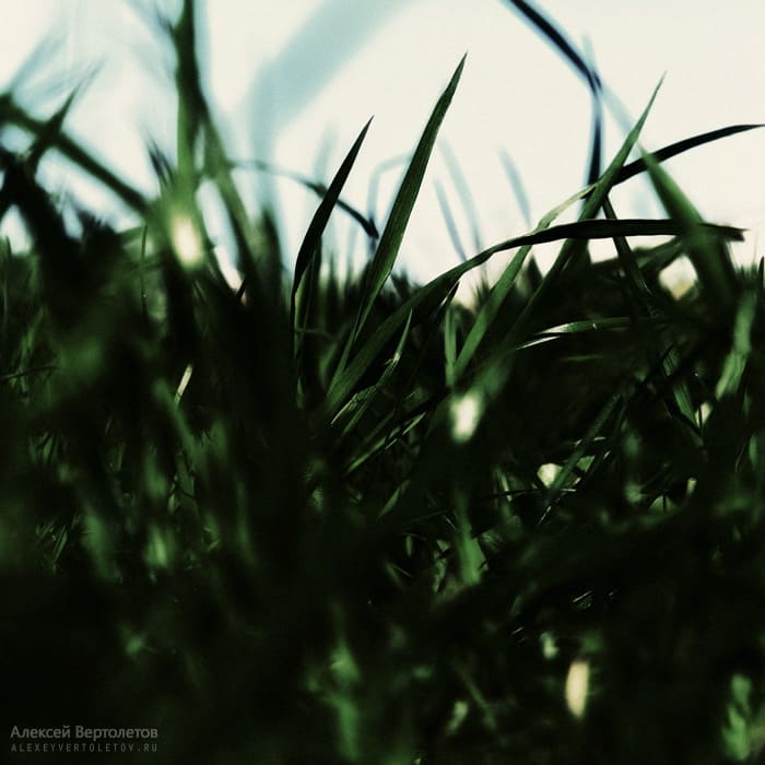 Авторские фото