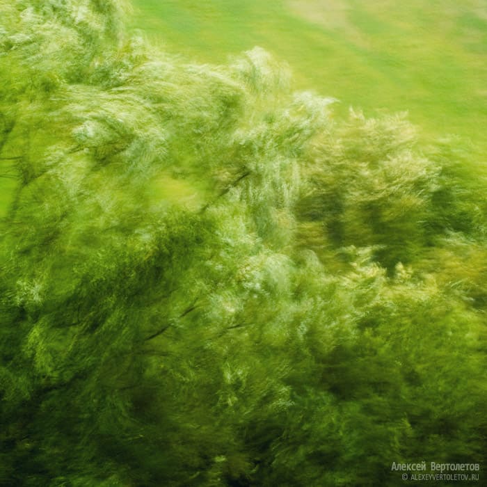 Авторские фото