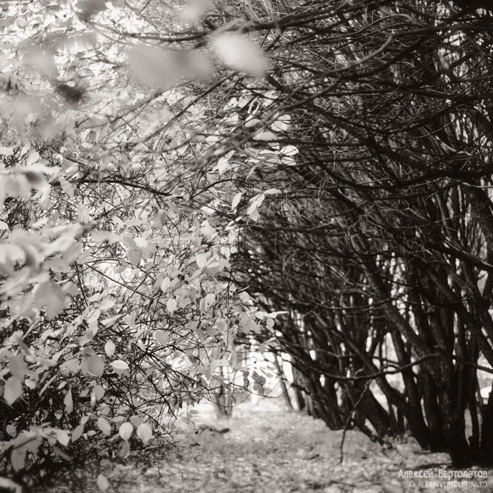 Авторские фото