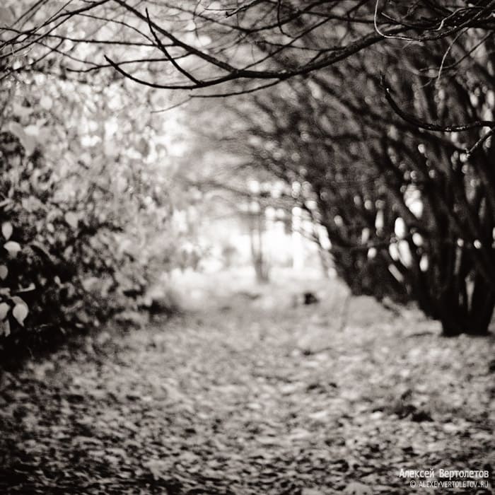 Авторские фото