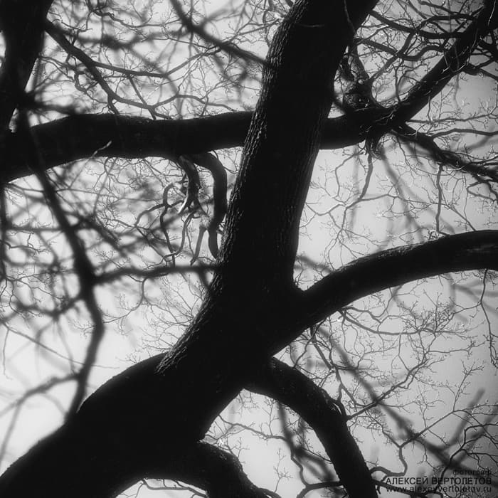 Авторские фото