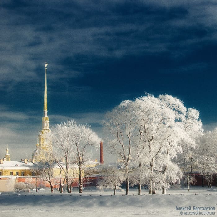Авторские фото