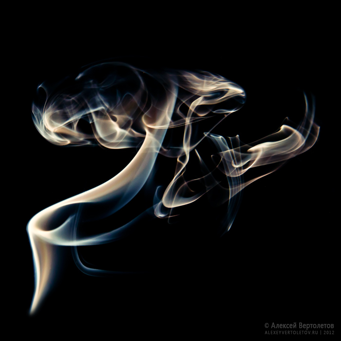 Фотосессия Фотограф СПб