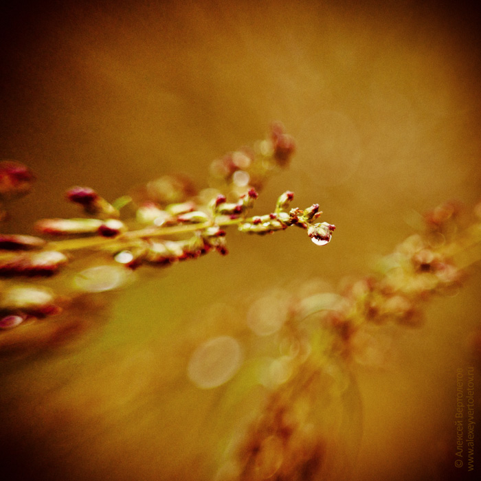 Фотосессия Фотограф СПб